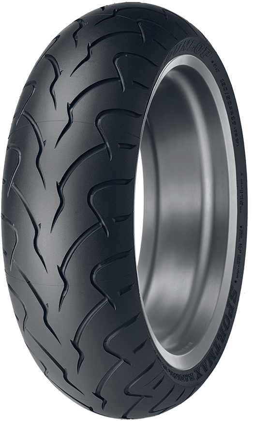 Dunlop D207-ZR Tires Are Available | Dunlop Motorcycle